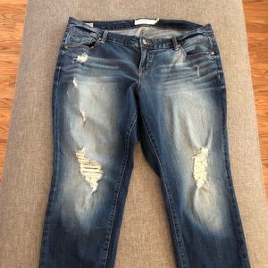 Torrid Boyfriend Cropped Jean